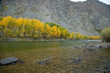 Autumn, Russia, Gorny Altai