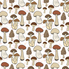 Mushroom seamless pattern. Vector autumn background with edible mushrooms