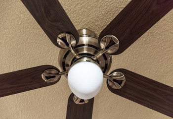 Wooden ceiling fan with light