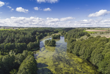 Black River Hancza in Turtul. Suwalszczyzna, Poland. Summer time