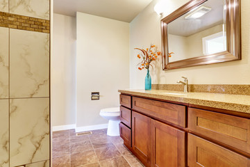 Bathroom interior with vanity cabinet and granite counter top.