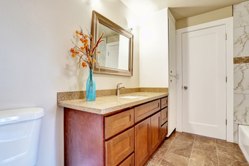 Bathroom interior with vanity cabinet and granite counter top.