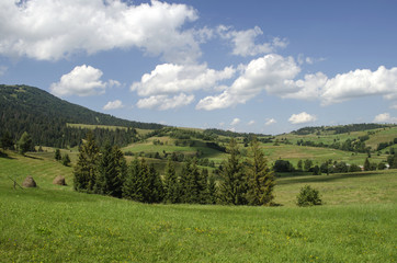Naklejka na ściany i meble picturesque green meadows of Ukrainian Carpathians 