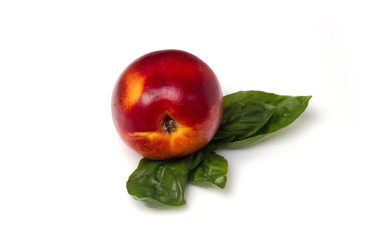 nectarine on a white background