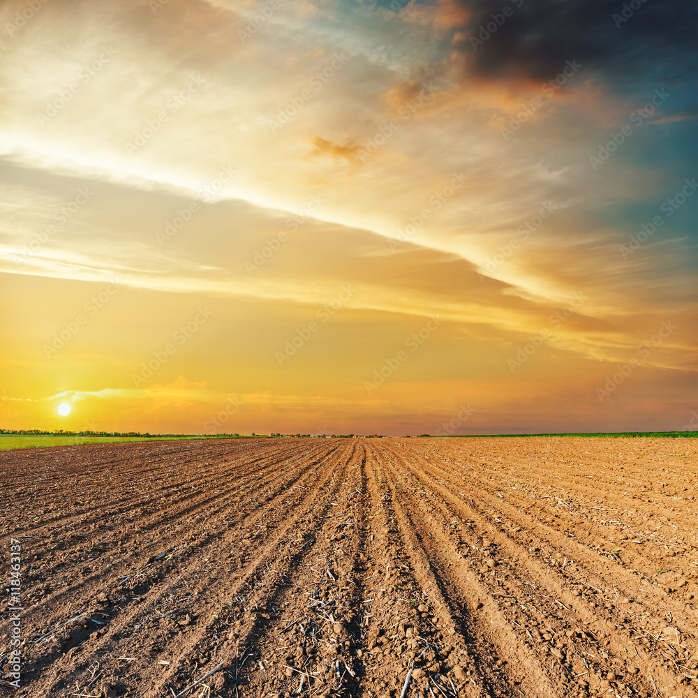 Wall mural orange sunset over black agriculture field