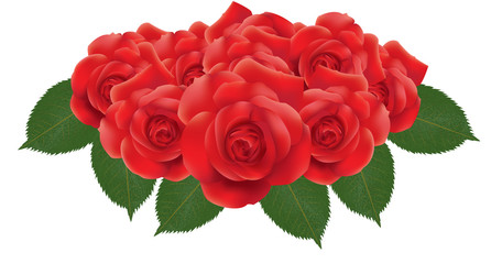 Red Rose Flowers- A vector design of roses and leaves that can be used for design or other purpose such as greeting card, wallpaper, background, and many more.
