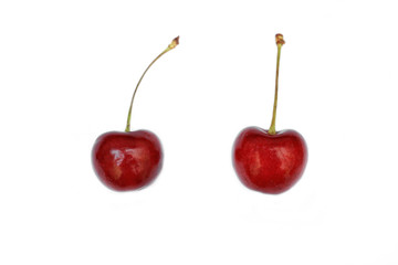 Close up of Red cherry on white background.