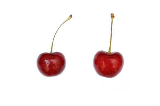 Close up of Red cherry on white background.