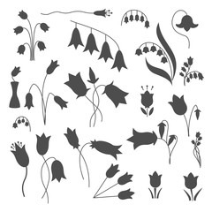 Bell flower illustration set. Campanula. Lily. Bluebell