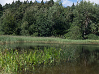 Obraz premium Hütter wohld