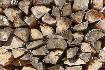 Woodpile texture of birch wood