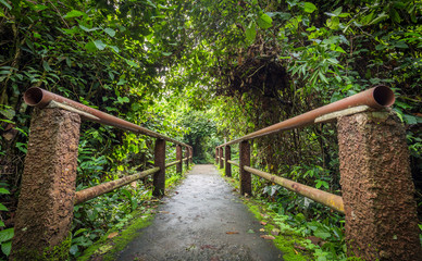 Bridge inside tropical forest