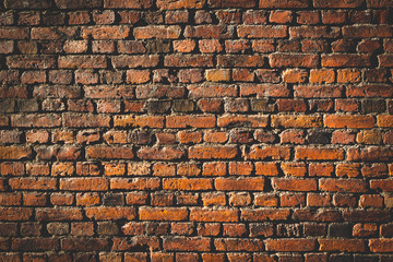 Brickwall texture background