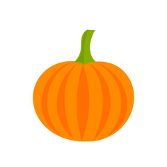 Pumpkin icon illustration