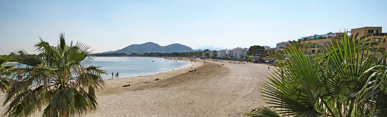 Alcudia beach panorama with palms, Majorca