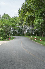 Fototapeta na wymiar Asphalt road with yellow line
