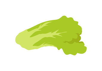 Green Salad Banner. Healthy Food Concept. Vector