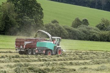 chargement de foin sur remorque agricole