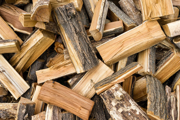 freshly made firewood in the forest