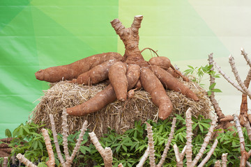 Cassava on the floor