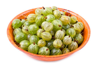 Green gooseberry in a