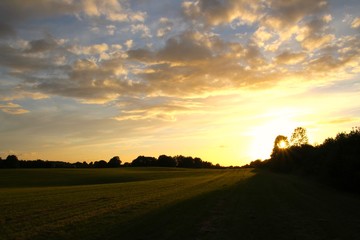 Obraz premium Sunset over green field in summertime