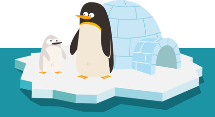 Fototapeta premium pingouins sur la banquise
