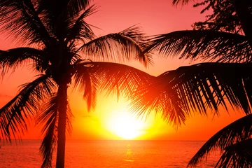 Tuinposter Zonsondergang aan zee Tropical island sunset with silhouette of palm trees, hot summer day vacation background, golden sky with sun setting over horizon