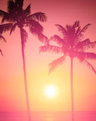Poster de jardin Mer / coucher de soleil Tropical island sunset with silhouette of palm trees, hot summer day vacation background, golden sky with sun setting over horizon