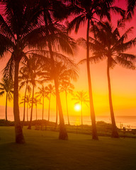 Golden sky with palm trees tropical sunset, hot romantic summer vacation