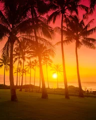 Photo sur Plexiglas Mer / coucher de soleil Golden sky with palm trees tropical sunset, hot romantic summer vacation