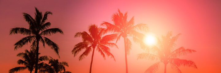 Naklejka na ściany i meble Golden sky with palm trees tropical sunset