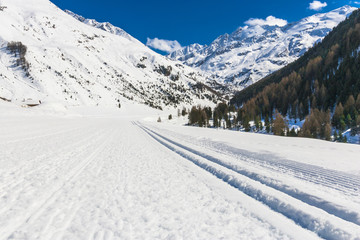 Fototapeta na wymiar Skispur in den Alpen