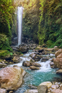 Fototapeta Waterfall and mountain river in tropical forest