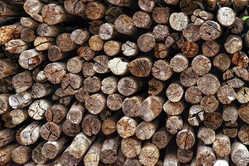 Background of dry chopped firewood logs from tropical trees stacked up on top of each other in a pile.