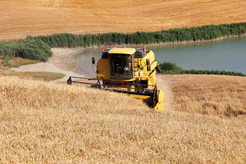 Obraz premium Combine Harvester in Barley Field during Harvest