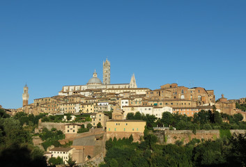 Obraz premium Cathedral church in Siena