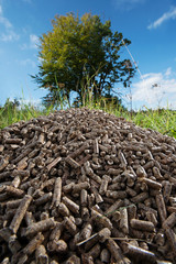 Pile of wooden pellets lying on meadow against tree and blue sky in the background. Wooden pellets,...