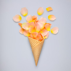 Sweet petals / Creative still life of an ice cream waffle cone with rose petals on grey background.