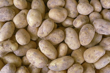 bunch of fresh new potatoes