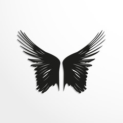 Wings of birds. Vector illustration. Black and white view.
