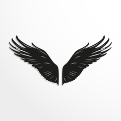 Wings of birds. Vector illustration. Black and white view.