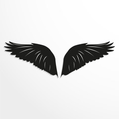 Wings of birds. Vector illustration. Black and white view.