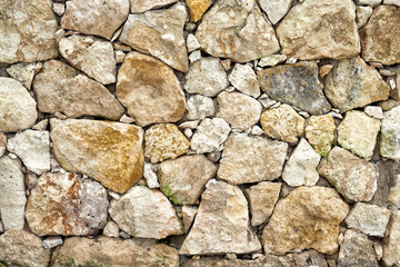 Fototapeta premium Stone and coral wall texture. Caribbean.