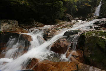 Fototapeta na wymiar 笹の滝