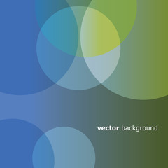     Colorful Bubbles Vector Background 