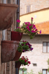Fototapeta na wymiar Flowers on a wall of an inhabited house in italian small town