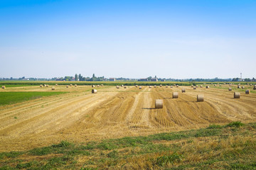 Fototapeta na wymiar Landscape with the image of an Italian countryside
