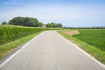 Landscape with the image of an Italian countryside