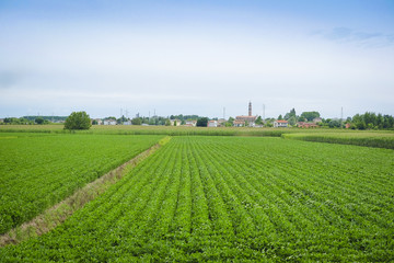 Fototapeta na wymiar Landscape with the image of an Italian countryside